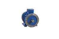 Motore WEG W21 con flangia frontale